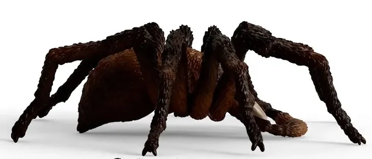 aragog-wizarding-world-schleich-wiek-dziecka-3-lata