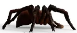 aragog-wizarding-world-schleich-wiek-dziecka-3-lata