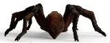 aragog-wizarding-world-schleich-waga-z-opakowaniem-0-17-kg