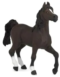 kon-rasy-arabskiej-papo