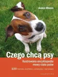czego-chca-psy-galaktyka