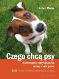 czego-chca-psy-galaktyka-stan-nowy