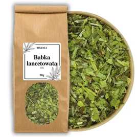 babka-lancetowata-lisc-naturalny-do-naparu-i-herbaty-50g-tisania