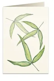 karnet-b6-koperta-6017-foglia-tripartita-tassot