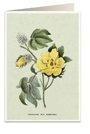 karnet-b6-koperta-6058-bawelna-tassotti