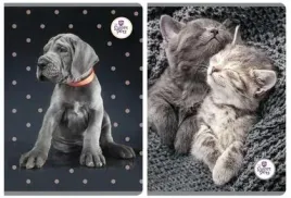 zeszyt-a5-60k-linia-the-sweet-pets-5szt-beniami