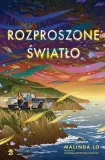 rozproszone-swiatlo-we-need-ya-stan-nowy