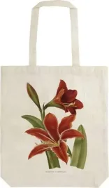 torba-bawelniana-stbag37-amarylis-shopperka-skona