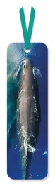 zakladka-do-ksiazki-sperm-whale-museums-and-gal
