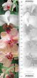 zakladka-3d-orchidea-worth-keeping