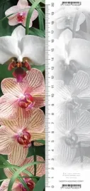 zakladka-3d-orchidea-worth-keeping