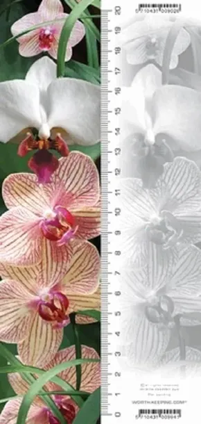 zakladka-3d-orchidea-worth-keeping-stan-nowy