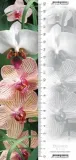 zakladka-3d-orchidea-worth-keeping-stan-nowy