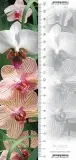 zakladka-3d-orchidea-worth-keeping-wysokosc-produktu-21-cm
