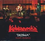 drzewa-koncert-akustyczny-cd-mtj-stan-nowy