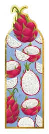 zakladka-magnetyczna-pitaya-henry