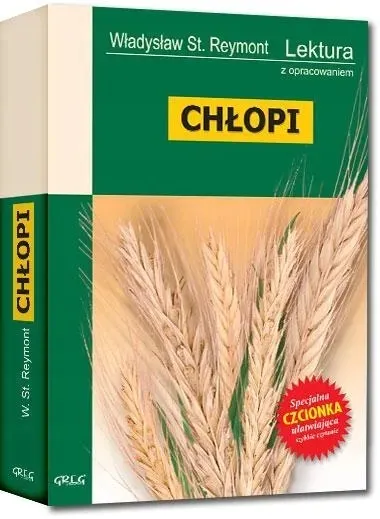 chlopi-z-oprac-greg-greg-stan-nowy