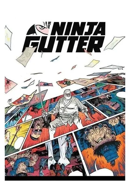 ninja-gutter-euro-pilot-stan-nowy