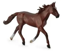 ogier-standardbred-pacer-kasztanowy-collecta