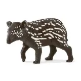 maly-tapir