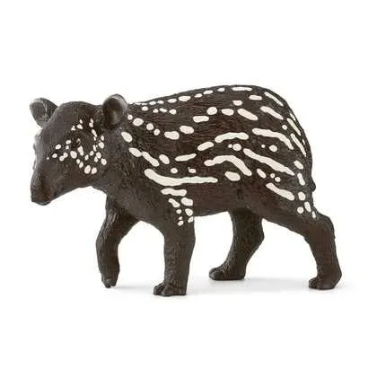 maly-tapir