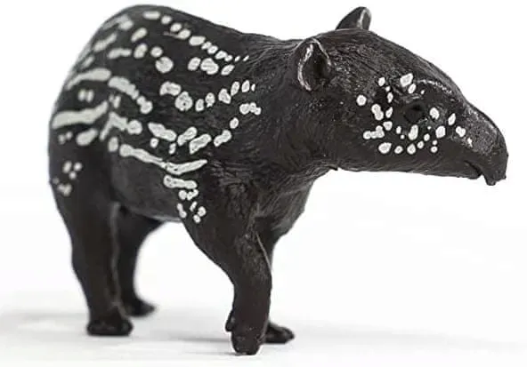 maly-tapir-plec-chlopcy-dziewczynki