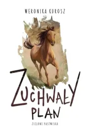zuchwaly-plan