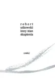 inny-stan-skupienia-stan-nowy