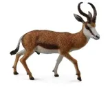 koziol-springbok-collecta