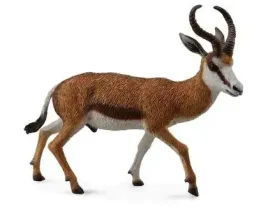 koziol-springbok-collecta