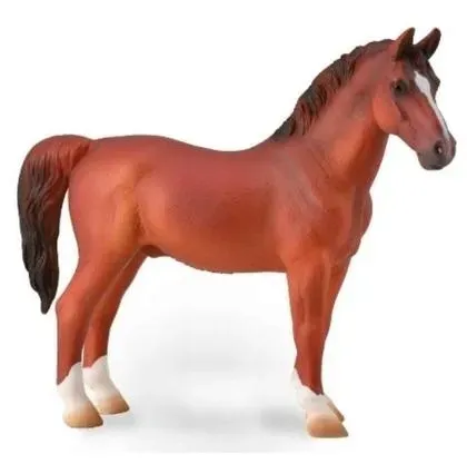 hackney-stallion-chestnut-collecta