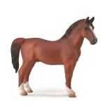hackney-stallion-chestnut-collecta-stan-nowy