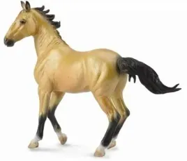 klacz-akhal-teke-buckskin-collecta