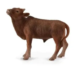 krowa-ankole-watusi-calf-collecta