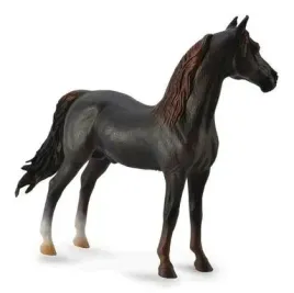 ogier-morgan-stallion-masci-kasztanowej-collecta