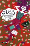 mejle-na-miotle-stan-nowy