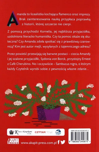 mejle-na-miotle-wydawnictwo-akapit-press