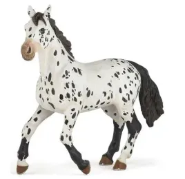kon-appaloosa