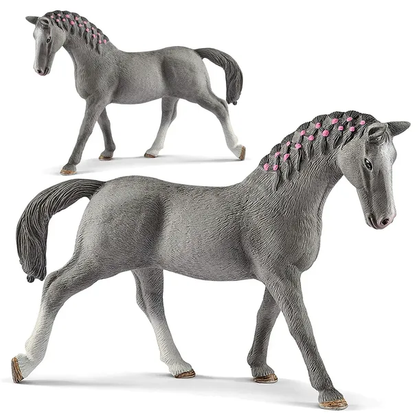 klacz-trakehner-bohater-brak