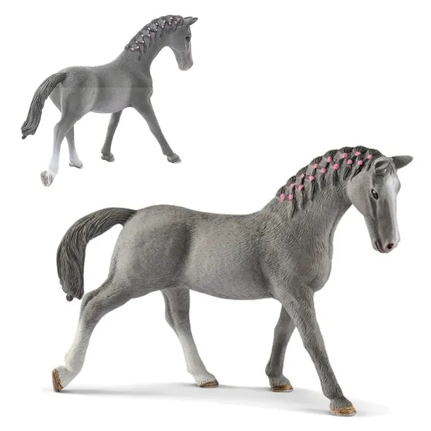 klacz-trakehner-plec-chlopcy-dziewczynki