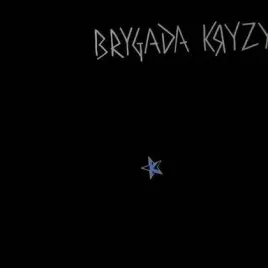 brygada-kryzys-na-40-lecie-lp