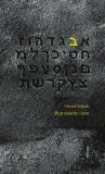 bejt-znaczy-dom-autor-dawid-szkola