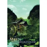 mlyn-nad-jaworznikiem-stan-nowy