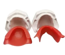 model-anatomiczny-ukladu-zebowego-kompletny-woskowy-do-nauki-dentystycznej