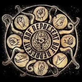 bdf-represent-cd-cd-contact