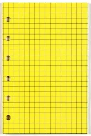 wklad-do-organizera-a5-kratka-zolta-antra-antra
