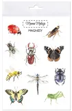 magnesy-owady-mama-maluje-plec-chlopcy-dziewczynki