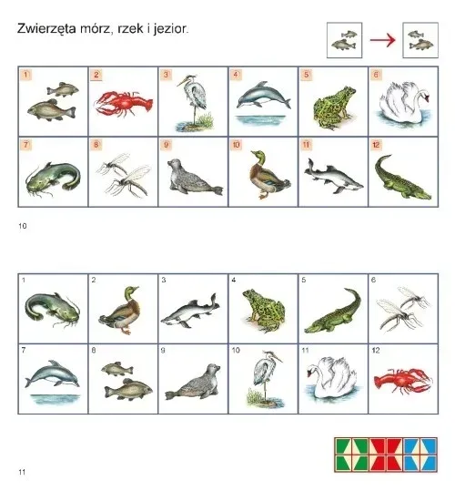pus-ide-do-szkoly-1-rodzaj-cwiczenia-karty-pracy