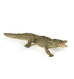 aligator-papo-stan-nowy
