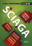 sciaga-sp-4-6-w-2017-greg-stan-nowy